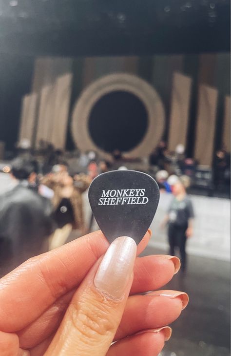 Arctic Monkeys Guitar Pick, Alex Turner Guitar, Arctic Monkeys Tattoo, Arctic Monkey, Monkey Birthday Parties, Alex Arctic Monkeys, Alex Pics, Ghost Cookies, The Last Shadow Puppets