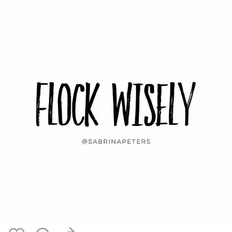 Flock wisely. . ."birds of a feather flock together." You naturally gravitate to people that have  similar passions/ interests. Find ones that sharpen your soul and your spirit. You become like the people you spend the most time with self lock wisely. Feather Quotes, Together Quotes, Brilliant Quote, Wednesday Quotes, Circle Quotes, One Word Quotes, Life Motto, Birds Of A Feather, Sarcasm Humor