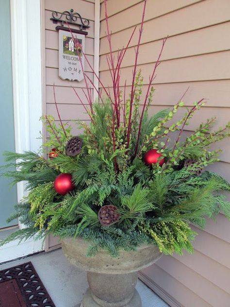 Winter Garden Project – Green Up your Xmas | The Inside Scoop at CellularWindowShades.com Outdoor Holiday Planters, Winter Container Gardening, Christmas Urns, Outdoor Christmas Planters, Holiday Planter, Winter Planter, Christmas Pots, Christmas Planters, Barrel Planter