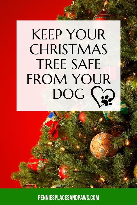 decorated Christmas tree Christmas Tree Pet Proof, Dog Friendly Christmas Tree, Protect Christmas Tree From Dog, Dog Proof Christmas Tree, There Is Hope, Real Christmas Tree, Given Up, Artificial Tree, Diy Stuffed Animals