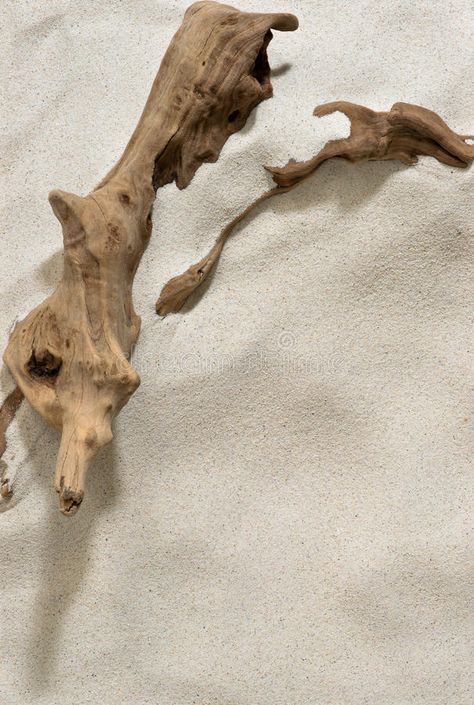 Driftwood and Sand Background. Driftwood partially buried in the sand , #SPONSORED, #Background, #Sand, #Driftwood, #sand, #buried #ad Sand Close Up, 60s Bedding, Driftwood Photography, Buried In Sand, Sand Interior, Sand Aesthetic, Sand Photography, Sand Background, Sand Texture