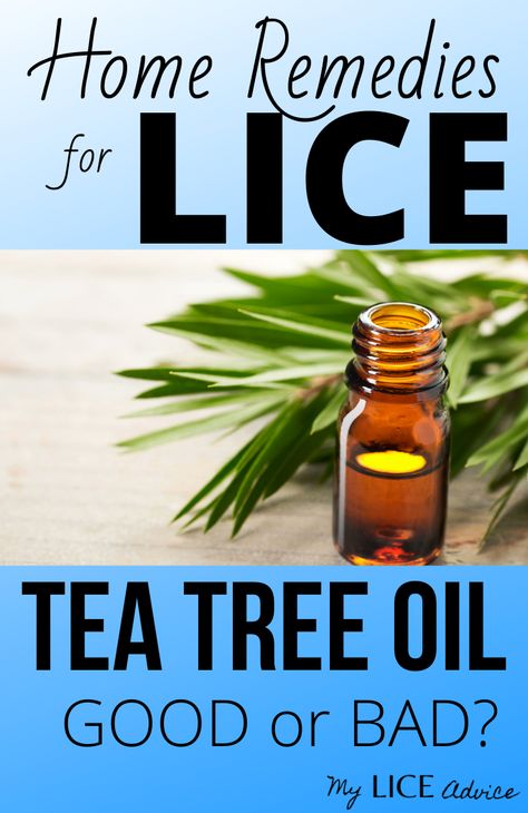 Home Lice Remedies, Tea Tree Oil For Lice Removal, Tea Tree Oil For Lice, Diy Lice Prevention Spray, Lice Prevention Spray, Prevent Lice With Essential Oils, Home Remedy For Lice And Nits, Lice Spray, Lice Remedies