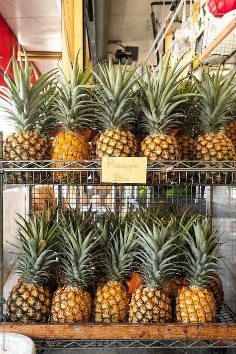 Fresh pineapple for sale at an outdoors fruit stand in Chinatown, Honolulu, Oahu, Hawaii, USA. Honolulu Oahu, Fruit Stand, Fresh Pineapple, Pineapple Fruit, Fruit Stands, Hawaii Usa, Honolulu Hawaii, Oahu Hawaii, Honolulu