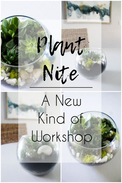 Gather your best girlfriends and head to a new kind of workshop: Plant Nite. Create, have decor for your home, and cheers to a night out. Plant Workshop Ideas, Workshops Ideas, Plant Workshop, Plant Store, Green Vibes, Garden Works, Garden Workshops, Cray Cray, Small Business Plan