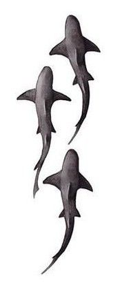 School Of Sharks Tattoo, Sand Shark Tattoo, Swimming Shark Tattoo, Shark Swimming Tattoo, Shark Tattoos For Women, Shark Tattoo Ideas, Swimming Tattoo, Shark Silhouette, Skull Hand Tattoo