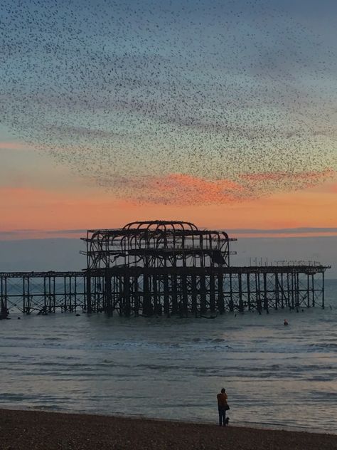 Murmuration over the old Brighton pier Brighton Pier Tattoo, Impulsive Tattoos, Brighton Pier, Phone Photography, Illustration Inspiration, Tattoos And Piercings, Brighton, The Old, Piercings