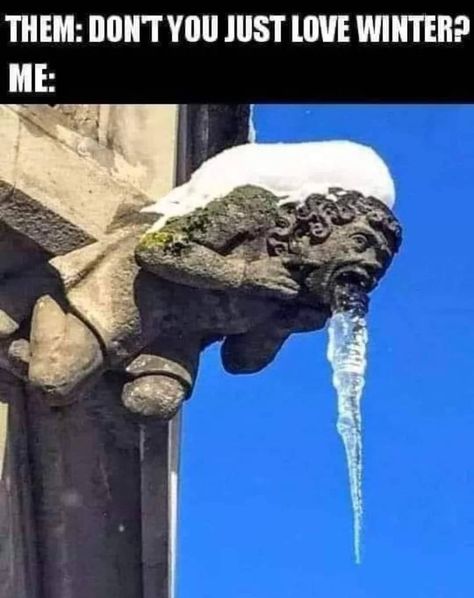 Love this meme about hating winter Hate Winter, Love Winter, Best Memes, Bones Funny, Funny Cute, Dankest Memes, Funny Images, Really Funny, Just Love