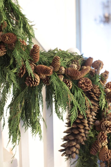 Pinecone & Cedar Christmas Garland - French Country Cottage Woodland Christmas Decor, Christmas Decor Trends, Pinecone Garland, Christmas Staircase, Natural Christmas Decor, Cottage Christmas, Tree Garland, Natural Christmas, Woodland Christmas