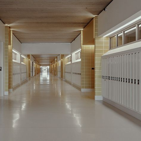 Rich School Hallway, Fancy School Classroom, Modern School Hallway, Middle School Hallway, High School Hallway, Fancy School, Luxury School, Boarding School Aesthetic, Wall To Wall Carpet