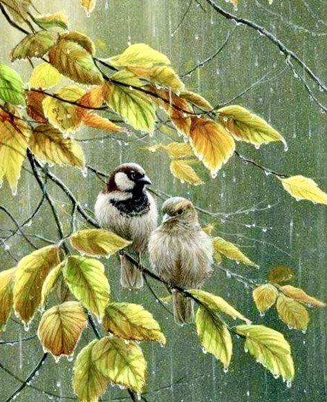 Bird Paintings On Canvas, Giclee Painting, 수채화 그림, Bird Art Print, Sparrows, Two Birds, Bird Pictures, Bird Drawings, Flower Art Painting