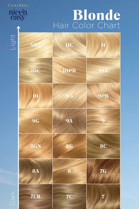 Lightest Natural Blonde Hair, Blonde Process From Brown, Kinds Of Blonde Hair Color, Nice And Easy Hair Color Chart Shades, Honeyed Blonde Hair, 2 Color Hair Ideas, Blonde Hair Color Ideas For Blondes, Blonde Swatches, Blonde Hair Chart