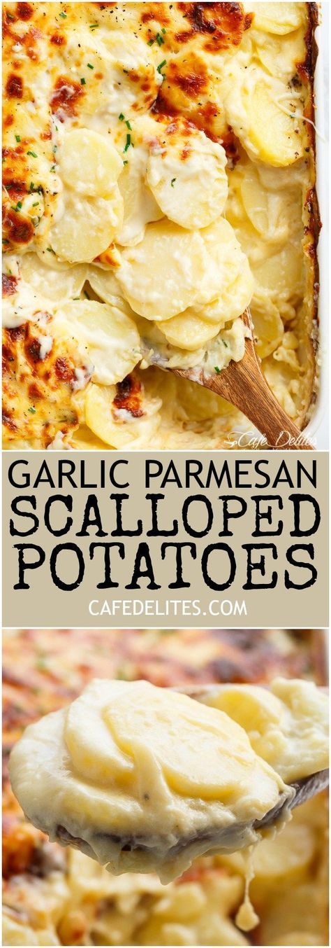 Garlic Parmesan Scalloped Potatoes layered in a creamy garlic sauce with parmesan and mozzarella is the best side dish to any meal! Parmesan Scalloped Potatoes, Best Side Dish, Creamy Garlic Sauce, Scallop Recipes, Potato Side Dishes, Scalloped Potatoes, Best Side Dishes, Creamy Garlic, Deilig Mat