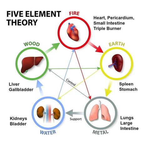 Image from: designua / 123RF Stock Photo    This image shows the Five Element cycle and its ability to "generate" each element.  Wood feeds Fire which burns to ashes, creating Earth.  As Earth compacts, it turns into Metals, and in time, the runoff from the distillation of Metals turns into Water. Medicine Images, Element Chart, Yin En Yang, Face Reading, Five Elements, 5 Elements, Energy Medicine, Fifth Element, Acupressure Points