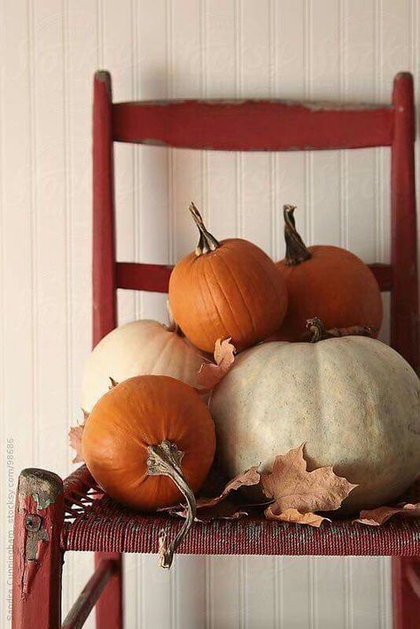 Love!!!! Pumpkins And Leaves, Pumpkins And Gourds, Primitive Fall, Fall Deco, Autumn Decorating, Red Chair, Fabulous Fall, Fall Porch, Farmhouse Fall