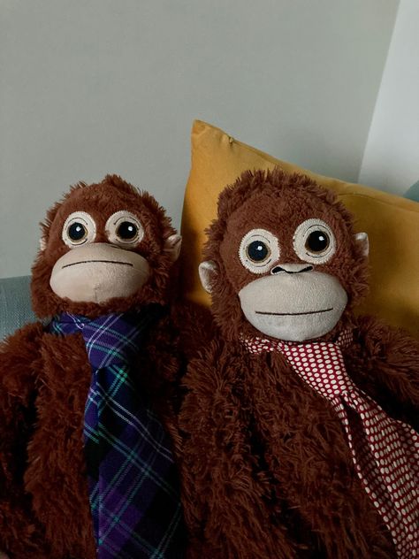 Ikea stuffed monkey orangutans Ikea Orangutan, Ikea Monkey, Monkey Brains, Miss My Ex, Monkey Stuffed Animal, Monkey Pictures, Monkey Plush, Monkey Business, Cute Monkey