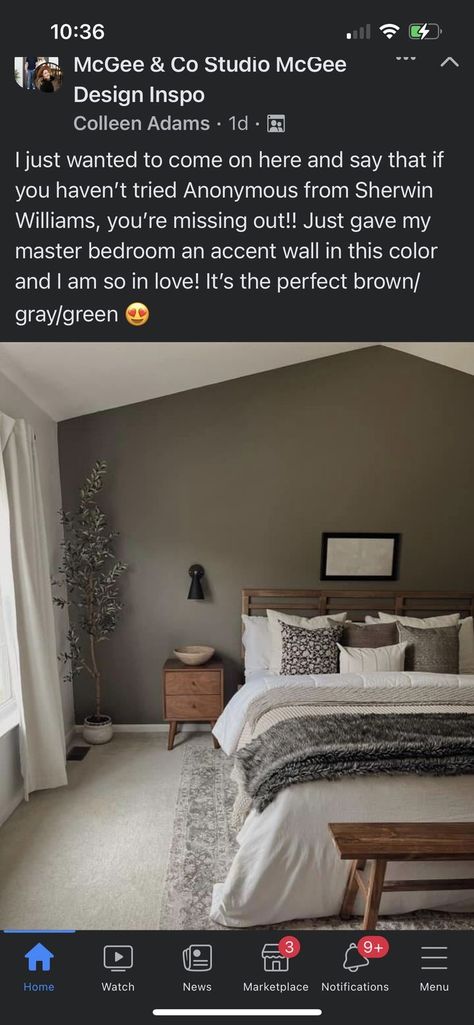 Brown Walls Master Bed, Bed Room Ideas For Couples Master Bedrooms Color Schemes, Good Accent Wall Colors, Black In Bedroom, Paint Master Room, Bedroom Ideas Master Color Schemes Taupe, Bedroom Ideas Master Rustic Paint Colors, Gray Wall Master Bedrooms Decor, Bedroom Inspirations With Carpet