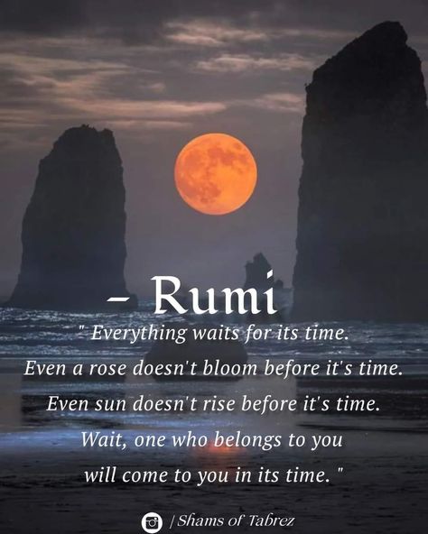 Rumi Quotes Love, Positive Journaling, Love Philosophy, Rumi Quotes Soul, Rumi Poem, Book Of Love, Quotes Facebook, Rumi Poetry, Rumi Love Quotes