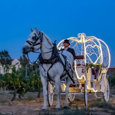 Country Getaway, Getaway Wedding, Romantic Wine, Country Romance, Travel Mood, Carriage Ride, Dream Dates, Dating Ideas, Wine Country California