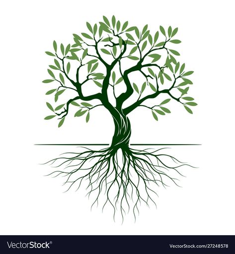 Tree With Roots Drawing, Fantasy Tree Drawing, Olive Tree Care, Roots Illustration, Olive Tree Tattoos, Roots Drawing, Tree Drawing Simple, Tree With Roots, Roots Tattoo