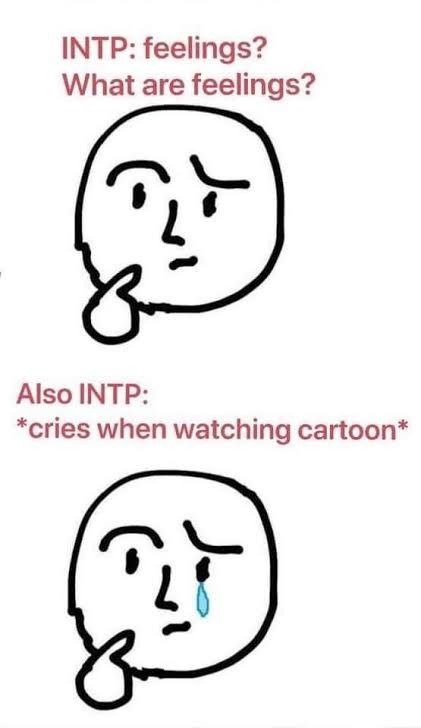 Intp Personality Funny, Mbti Intp Meme, Intp T Personality, Intp Memes Funny, Intp Mbti Art, Intp X Intj, Intp X Istp, Intp 5w4, Intp Girl