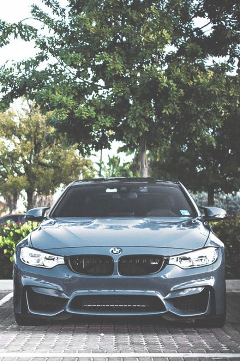 The purest and the most extreme expression of automotive there is. 2015 Bmw M4, Bmw Performance, Super Luxury Cars, Bmw M4, Latest Cars, Expensive Cars, Bmw Cars, My Dream Car, Amazing Cars