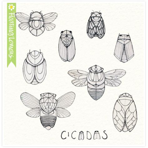 Cicada Sketch, Easy Cute Drawings, Cicada Tattoo, Lemons Art, Outside My Window, Lemon Art, Art Nouveau Pattern, Bug Art, Insect Art