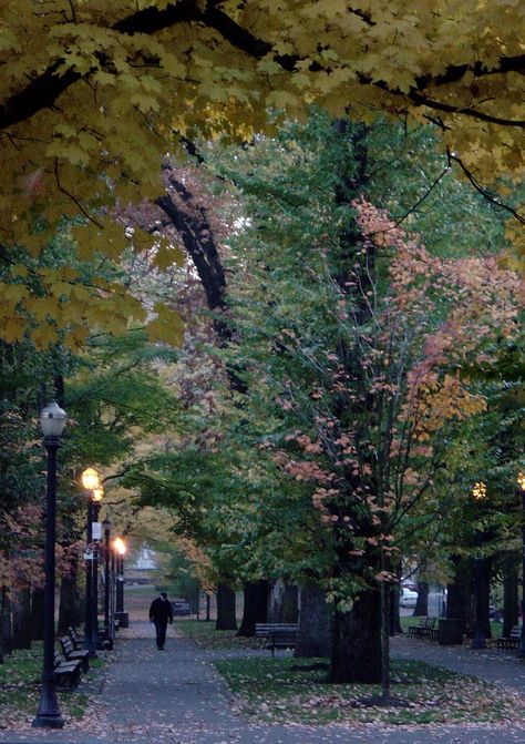 Photo: Anne Morin - Portland Park Blocks, Portland State University Portland State University Aesthetic, Portland University, University Of Portland, October Country, Portland State University, Beautiful Oregon, Oregon City, Oregon State University, Oregon Washington