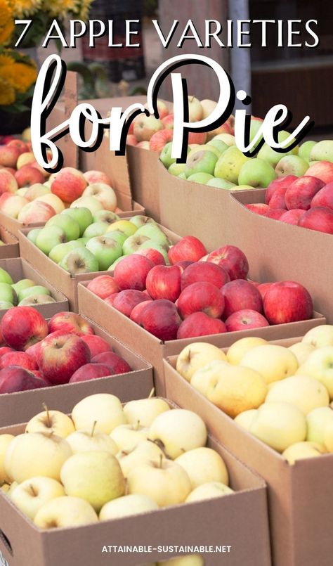 Best Apples For Pie Baking, Best Apples For Pie, Best Baking Apples, Apples For Pie, Best Cooking Apples, Best Apples For Apple Pie, Apples For Apple Pie, Apples For Baking, Savory Apple Recipes