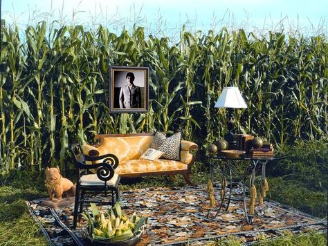 Outdoor Interview Setup, Music Video Set Design Ideas Outdoor, Music Video Set Design Ideas, Animal Masquerade, Door Ajar, Duncan Phyfe, Corn Field, Photo Arts, Yellow Sofa