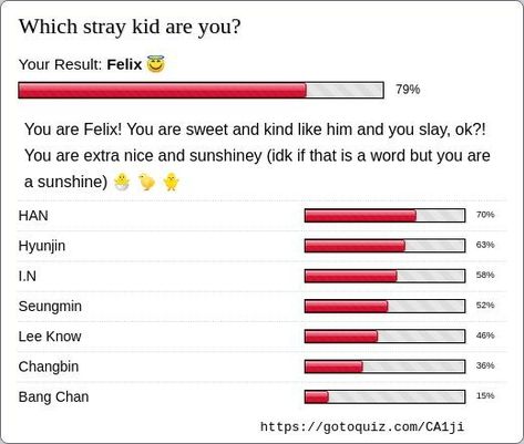 Results: Which stray kid are you? What Stray Kids Member Are You, Which Stray Kids Member Are You, Stray Kids Quizzes, Skz Quiz, Quizzes For Kids, Take A Quiz, Online Quizzes, Slay All Day, French Revolution