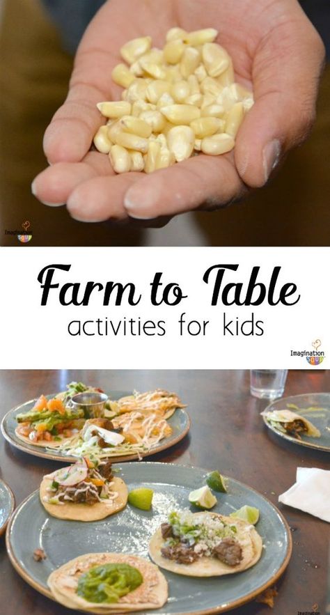 5 Fun Farm to Table Activities for Students.  This is such an important concept in today's society.  Why not address it in the classroom?  Here are some good ideas to get you started on having your students appreciate our natural resources.  Read more at:  http://imaginationsoup.net/2016/05/19/5-fun-farm-to-table-activities-for-kids/ Farm To Table Activities, Agriculture Education Activities, Table Activities For Kids, Table Activities, From Farm To Table, Nutrition Classes, Activities For Students, Nutrition Activities, Nutrition Sportive