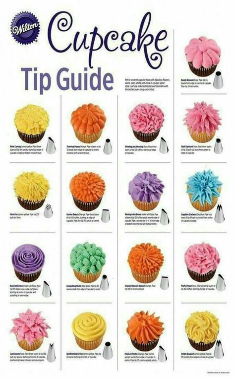 Icing Tips Guide, Cupcake Box Ideas, Icing Tips Guide Piping Techniques, Basic Cupcake Recipe, Camping Cakes, Boxed Cake Mixes Recipes, Spring Cupcakes, Sugar Cookie Cakes, Flat Cakes