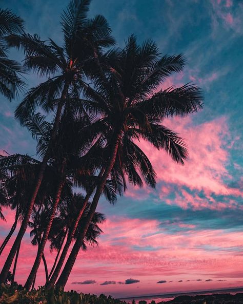 skyaddict on Instagram: “Taken by : @von.shoots Get Inspired . . . . .  #sunset #visualoflife #beachlife #artofvisuals #thecreative #skyporn #sunsetsniper…” Tropical House Music, Pool Vibes, Tropical House, Instagram Music, Surfer Girl, House Music, Beach Life, Dance Music, Sweet Dreams