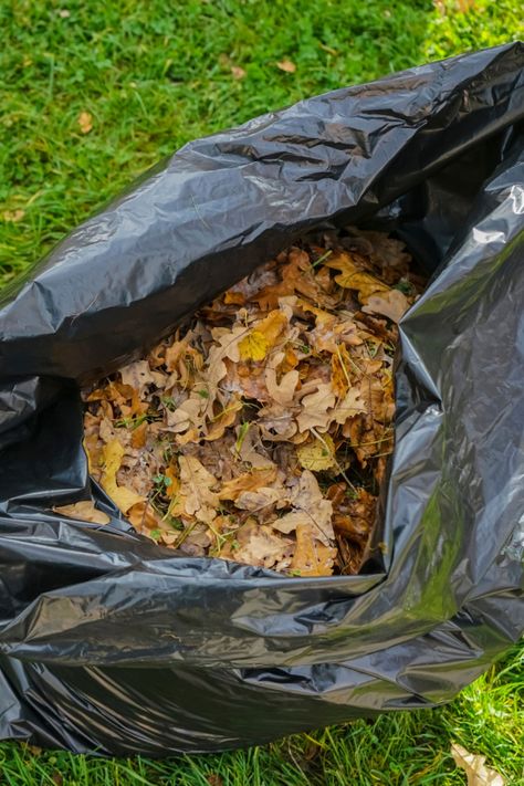 Composting Leaves - How To Make Great Compost From Leaves! Composting Leaves, Leaf Compost, Compost Starter, Cold Frames, Indoor Vegetable Gardening, Garden Compost, Garbage Bags, Cold Frame, Soil Improvement