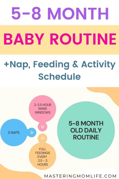 5 Month Old Daily Schedule, 5 Month Old Schedule Feeding, Feeding Schedule For 6 Month Old, 6 Month Old Feeding Schedule, 8 Month Old Schedule, 7 Month Old Schedule, 5 Month Old Schedule, Babywise 5 Month Schedule, 6 Month Old Schedule