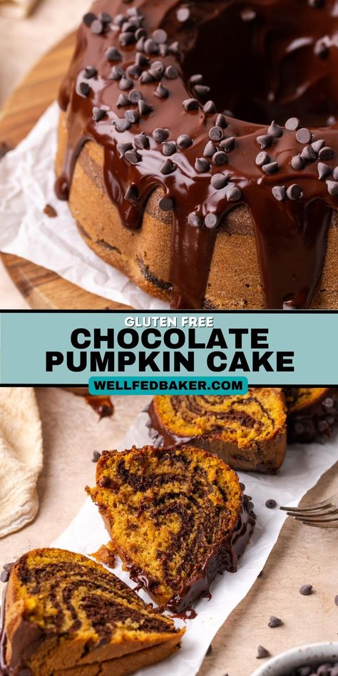 This stunning chocolate & pumpkin bundt cake will wow all of your guests. It's filled with fall flavors and chocolate in a delightful marble design that's easy to create. Plus it's gluten free & dairy free! Pumpkin Cake Mix, Chocolate Pumpkin Cake, Pumpkin Bundt, Pumpkin Bundt Cake, I Am Baker, Chocolate Pumpkin, Cake Mixes, Easy Drink Recipes, Baking Recipe