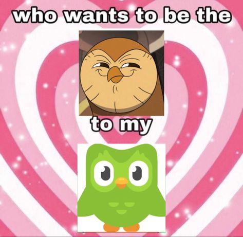 Hoody X Duolingo, Hooty X Duolingo Bird, Hooty Duolingo Owl, Duolingo X Hoot, Duolingo Pfp, Duolingo Fanart, Couple Dynamics, Cursed Ships, Owls House