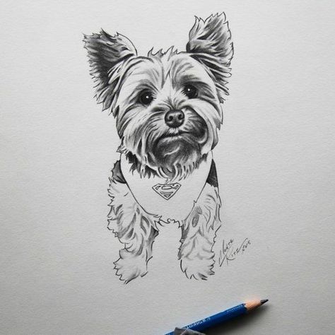 Yorkie Painting, Tatoo Dog, York Dog, Dog Outline, Outline Tattoo, Cowgirl Art, 강아지 그림, Yorkie Dogs, Line Art Tattoos