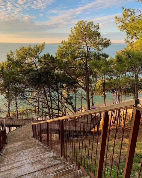 Vivre le Bassin d’Arcachon on Instagram: "Vous descendrez bien quelques marches ? 📷 @poulettetcanette ・・・ #bassindarcachon #latestedebuch #lacorniche #stairs #escaliers #bassinarcachon" Photo Tiktok, Tree Identification, Cap Ferret, Paradise On Earth, Summer Dream, Bilbao, My Happy Place, Life Is Beautiful, Happy Places