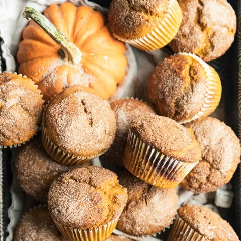 Sourdough Pumpkin Muffins, Discard Muffins, Discard Cinnamon Rolls, Sourdough Discard Cinnamon Rolls, Vanilla Bean Cream, Sourdough Pumpkin, Pumpkin Swirl Cheesecake, Sandwich Bread Recipes, Muffin Streusel