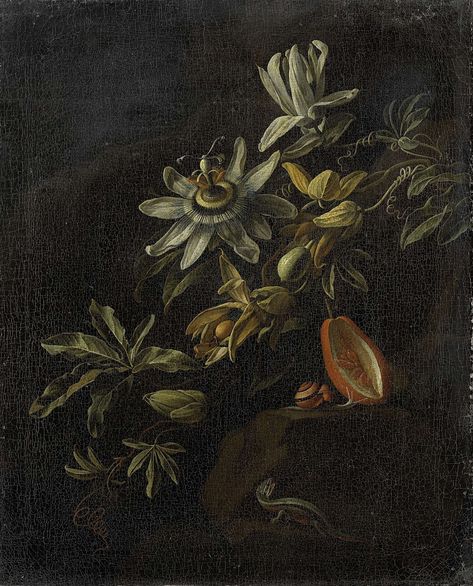 Still Life with Passionflowers, Elias van den Broeck, 1670 - 1708 Passion Flowers, Dark Flowers, A4 Poster, Passion Flower, Dark Floral, Vintage Artwork, Nature Wall Art, Boho Wall Art, Still Life Painting