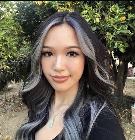 Black And Grey Peekaboo Hair, Half Silver Half Black Hair, Silver Money Piece, Hair With Grey Highlights, Black Hair With Grey Highlights, White Hair Highlights, The Butterfly Haircut, Black And Silver Hair, Black And Grey Hair