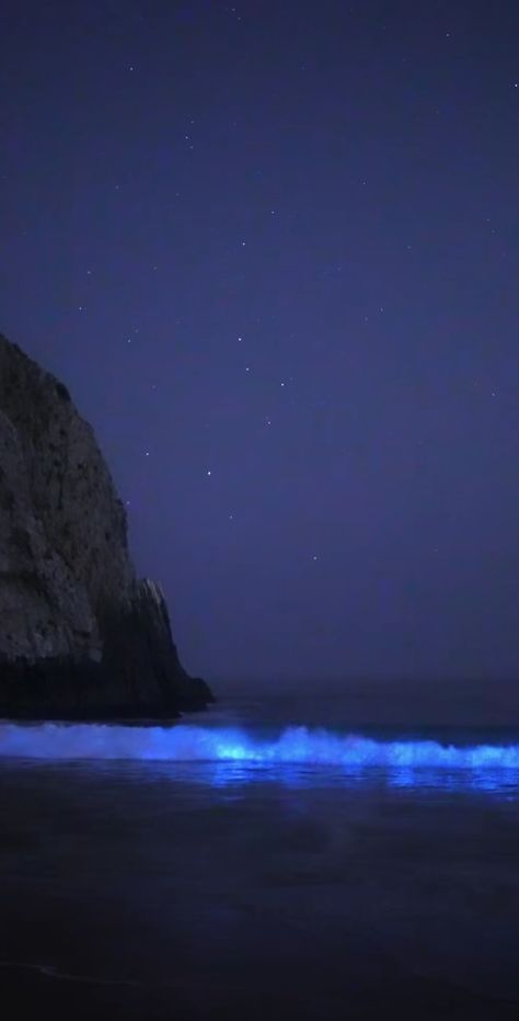 Aesthetic Ocean Pictures Dark, Glowing Ocean Water, Bioluminescence Aesthetic Wallpaper, Bio Luminescence Beach, Bioluminescence Beach Wallpaper, Bioluminescence Beach Aesthetic, Bioluminescence Wallpaper, Bioluminescence Beach, Bioluminescence Aesthetic