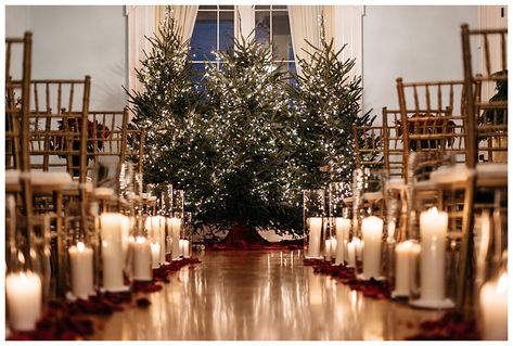 Tree Wedding Ceremony, Christmas Wedding Inspiration, Wedding Alters, Rustic Winter Wedding, Romantic Christmas, Winter Wedding Decorations, Winter Wedding Flowers, December Wedding, Christmas Classic