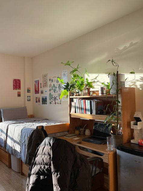 Dorm Room Ideas Common Room, Mid Century Dorm Room, Dorm Room Ideas Two Beds, College Dorm Inspo Simple, Dorm Set Up Layout Double, College Aesthetic Dorm Room Male, Neutral Dorm Decor, Dorm With Plants, Men’s Dorm Room