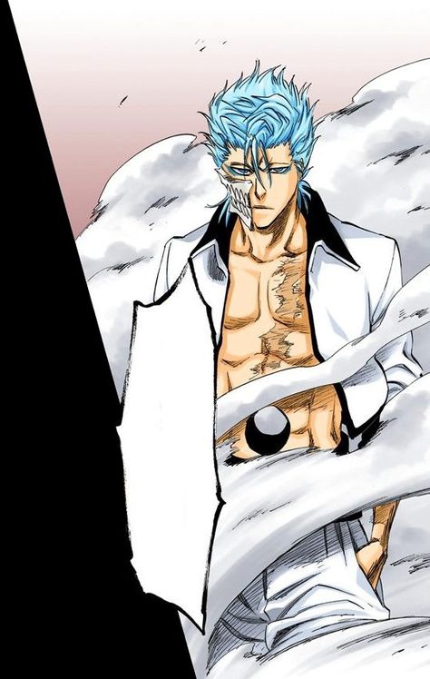 Grimmjow Jaegerjaquez, Ichigo Manga, Bleach Pictures, Clorox Bleach, Bleach Anime Ichigo, Bleach Anime Art, Chest Piece Tattoos, Bleach Characters, Bleach Art