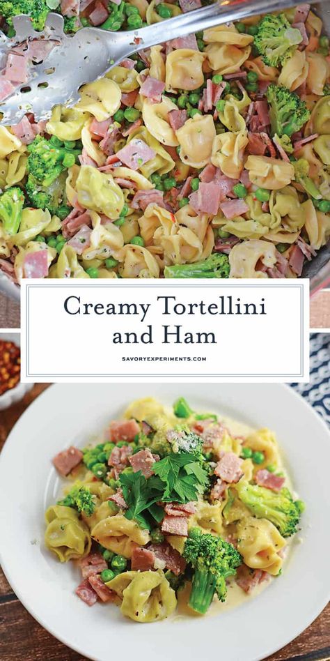 Creamy Ham and Cheese Tortellini uses an easy alfredo sauce recipe with cubed ham, peas, broccoli and seasonings to make a 20 minute one-pot meal! Recipe With Cubed Ham, Cubed Ham Recipes Dinners, Ham And Cheese Tortellini, Easy Tortellini Recipes, Easy Alfredo Sauce, Cubed Ham, Easy Alfredo, Ham Leftovers, Ham Dishes