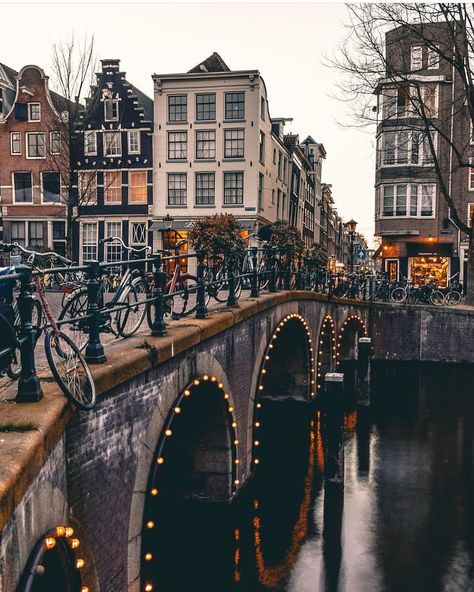 Amsterdam Vibe on Instagram: “Photo by: @ilove.amsterdam  Let’s see, where are you from?🌎🙋‍♂️ .  Follow 👉 @amsterdamvibe  Follow 👉 @amsterdamvibe  Follow 👉…” Amsterdam Travel, Halong Bay, Future Travel, City Aesthetic, Beautiful Places To Travel, Pretty Places, Travel Inspo, Travel Aesthetic, Travel Outfit