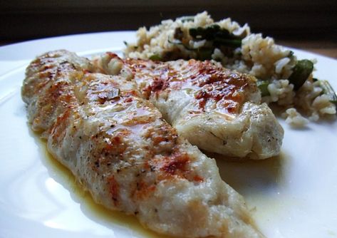 How to Make Parmesan Crusted Tautog with Herb-Lemon Sauce Tautog Recipe, Blackfish Recipe, Ugly Fish, Fish Recipes Baked, Classic French Dishes, Portuguese Food, Parmesan Crusted, White Fish, Lemon Sauce