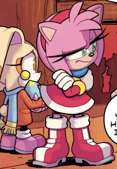 Amy Rose And Cream, Rosy The Rascal, Cream The Rabbit, Sonic Idw, Idw Comics, How To Draw Sonic, Shadow And Amy, Finding A New Hobby, Amy The Hedgehog